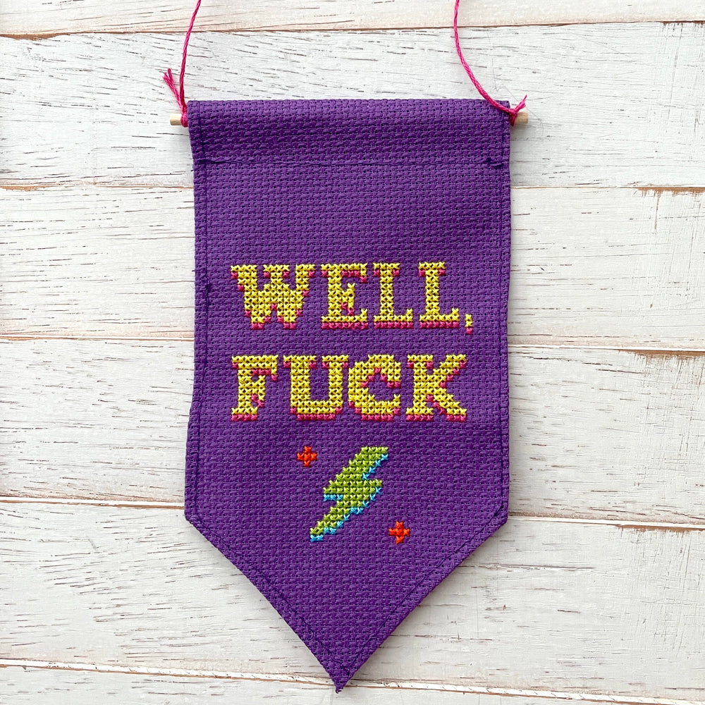 WS Well, Fuck Tiny Banner Counted Cross Stitch Kit