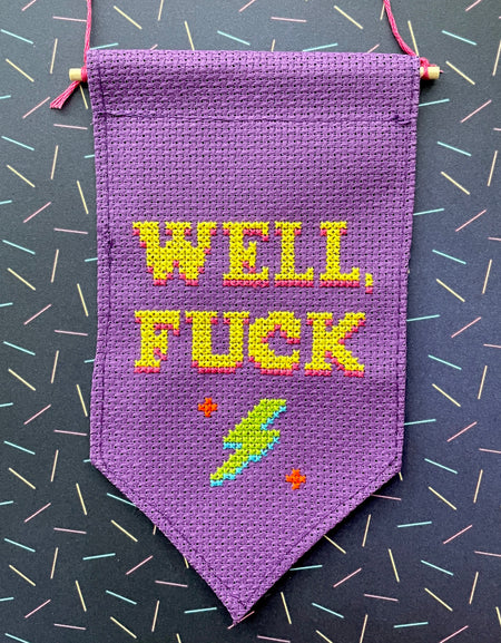 WS Well, Fuck Tiny Banner Counted Cross Stitch Kit