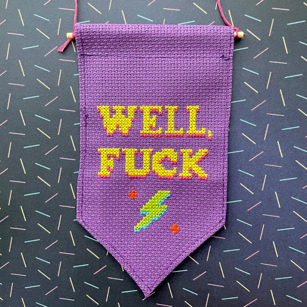 WS Well, Fuck Tiny Banner Counted Cross Stitch Kit