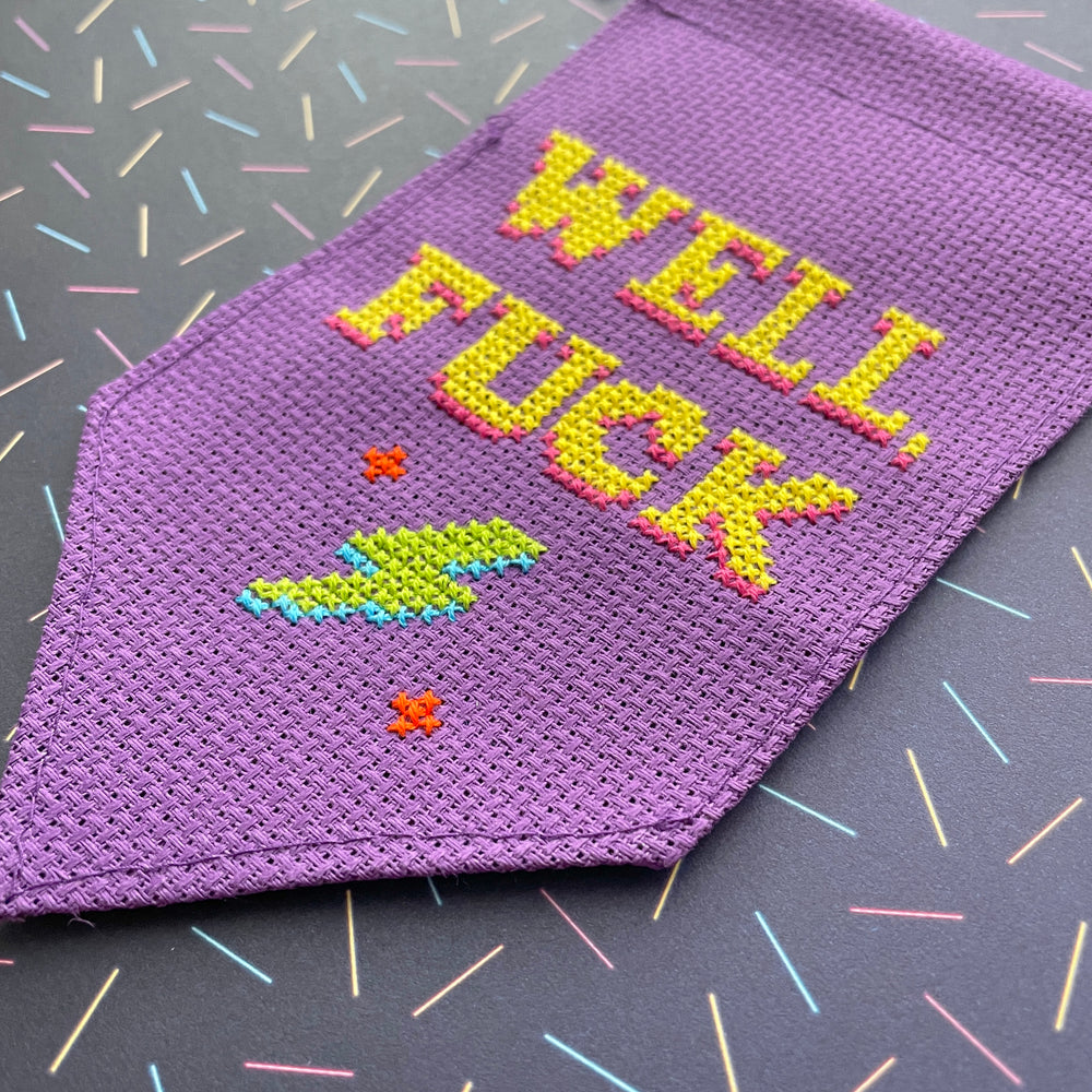 WS Well, Fuck Tiny Banner Counted Cross Stitch Kit