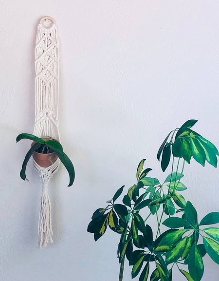 NEW FORMAT: Macrame Plant Hanger DIY Kit  Bodhi Wall Planter: Natural