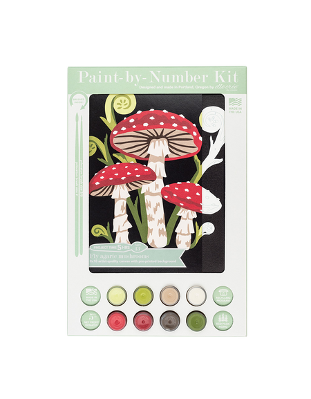 Fly Agaric Mushrooms Paint-by-Number Kit