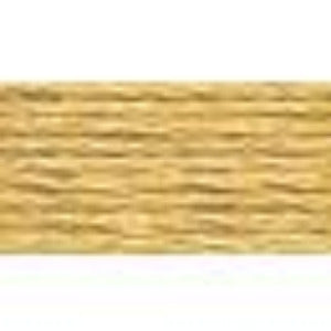 #422 Light Hazelnut Brown - DMC 6-Strand Embroidery Cotton 8.7yd