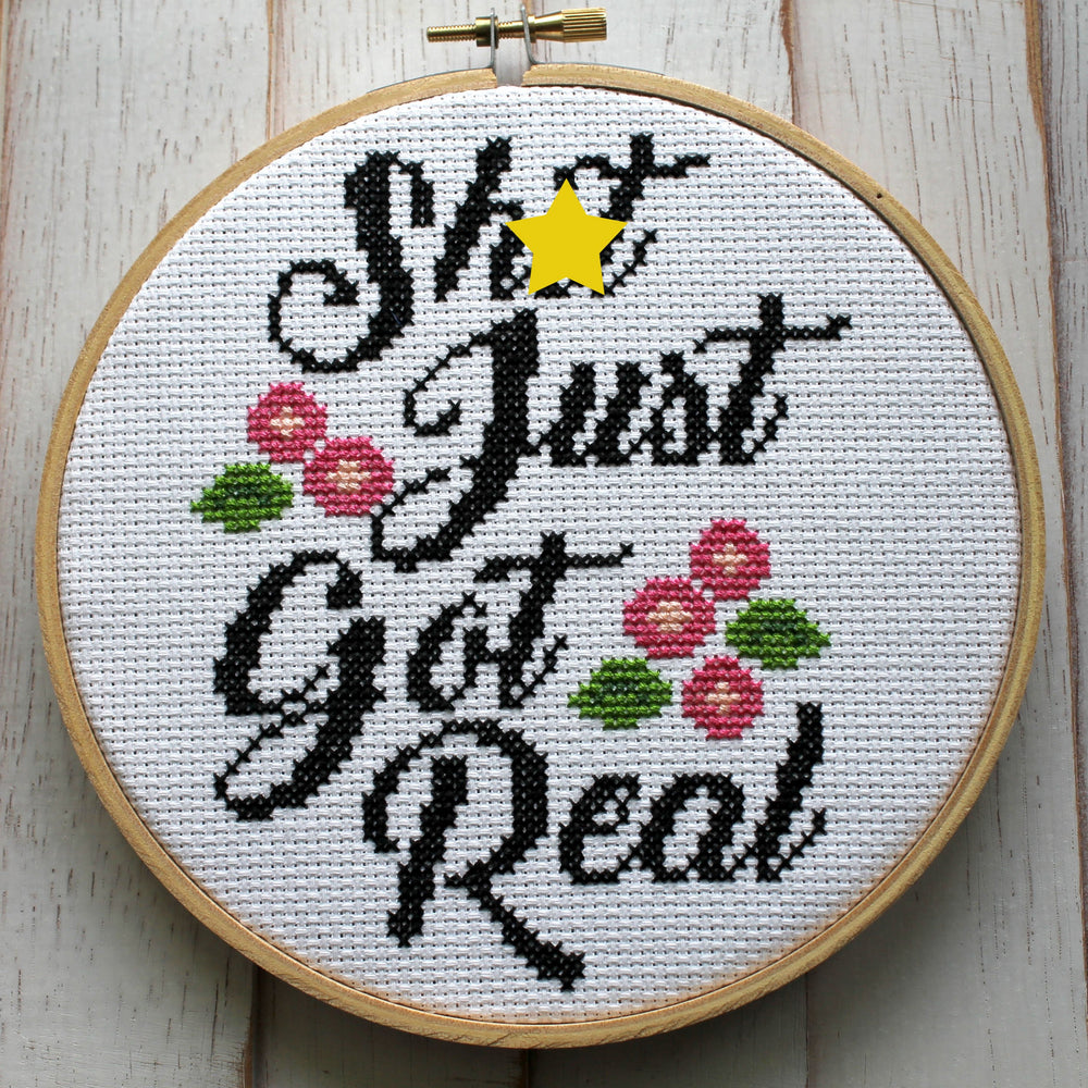 PATTERN WS Sh*t Just Got Real Counted Cross Stitch